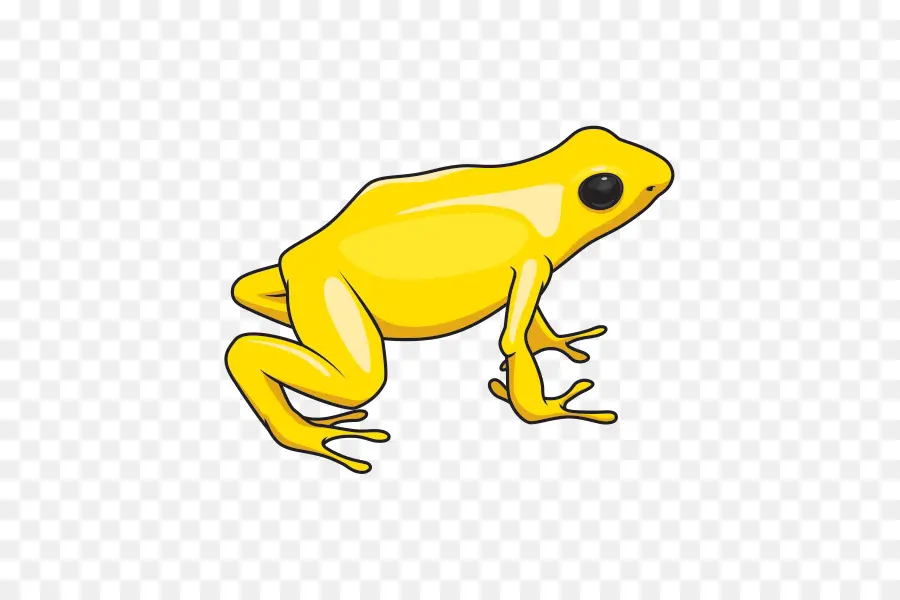 Toad，Verdadeiro Sapo PNG