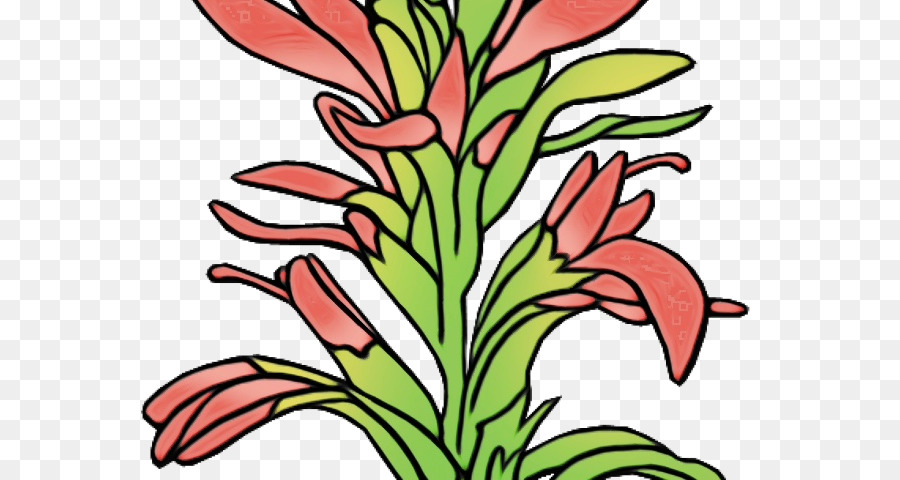 Planta，Flor PNG