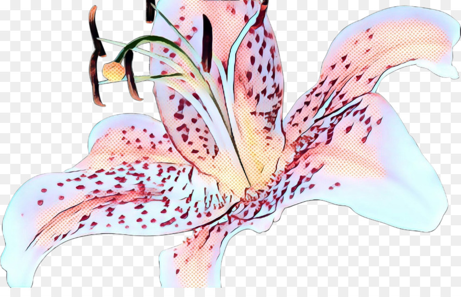 Lily，Tiger Lily PNG