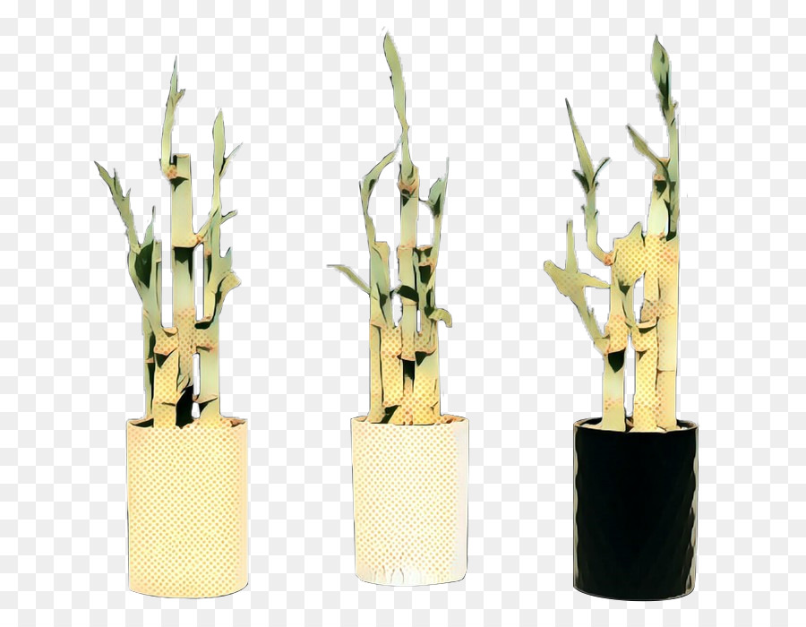 Bambu，Planta PNG