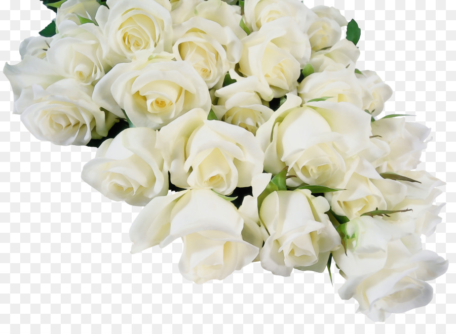 Rosas Brancas，Ramalhete PNG