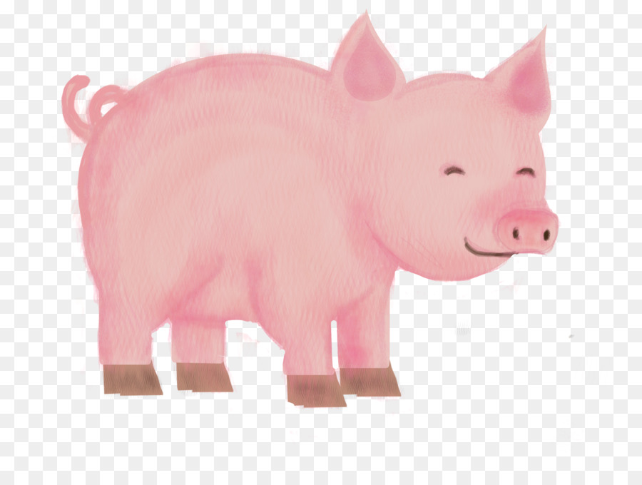 Cor De Rosa，O Porco Doméstico PNG