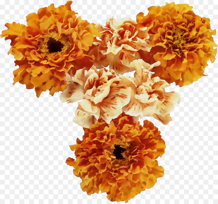 Tagetes，Amarelo PNG