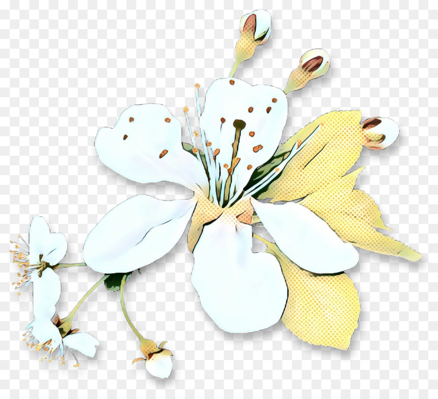 Branco，Flor PNG