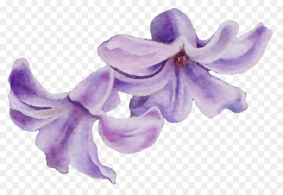 Flor，Roxo PNG