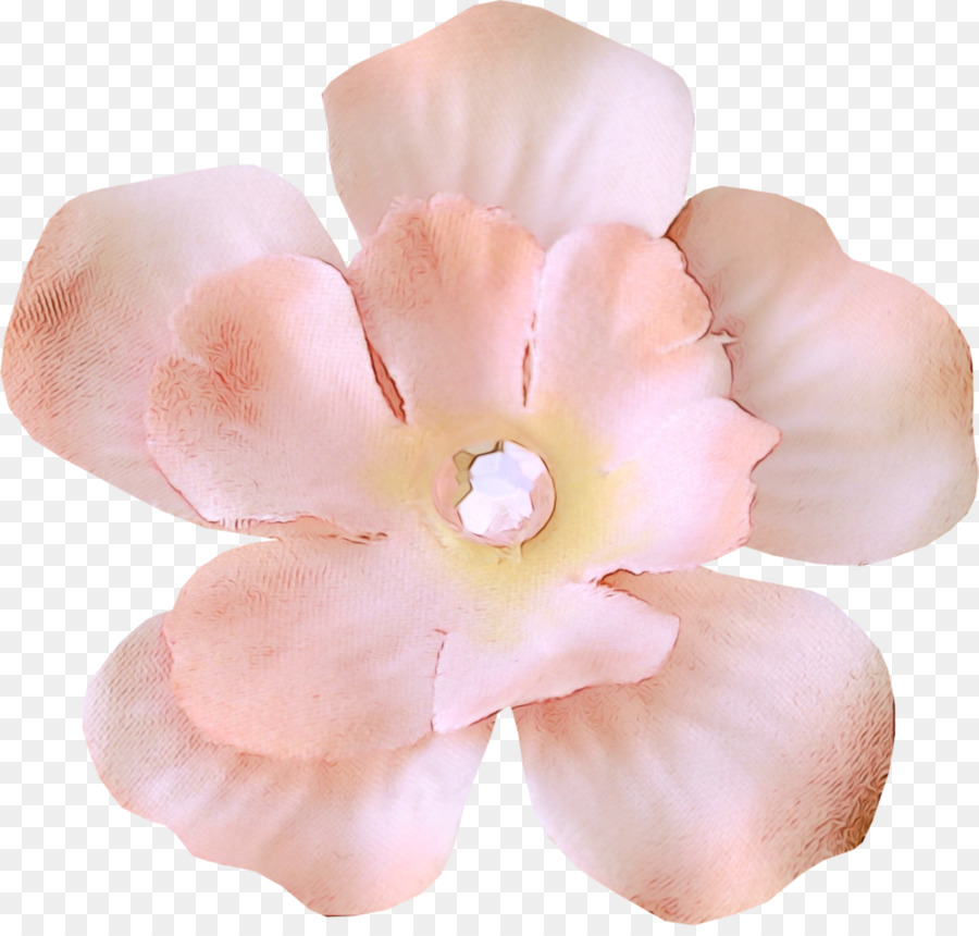 Flor De Hibisco，Flor PNG