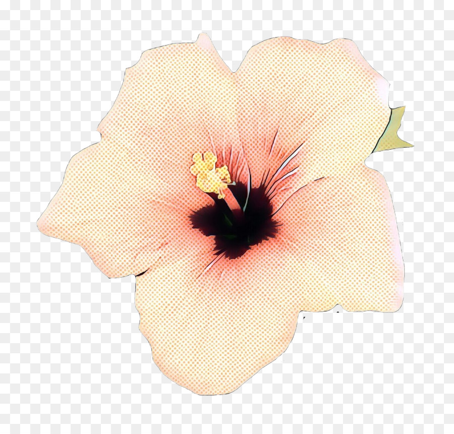 Flor，Florescer PNG