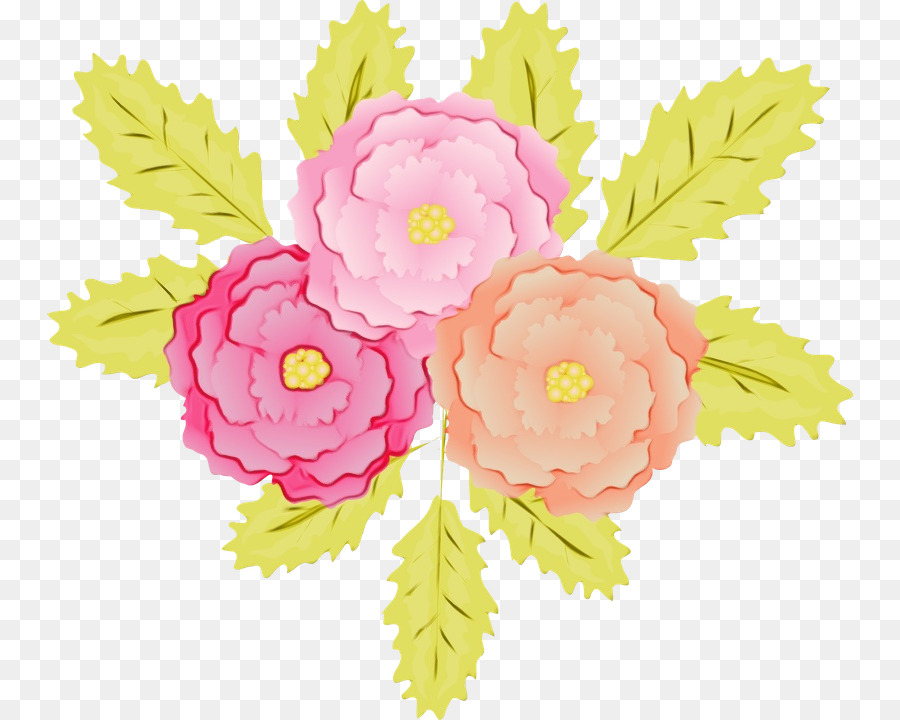 Flores，Florescer PNG