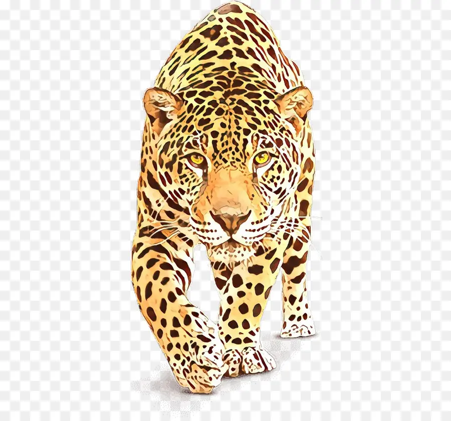 Leopardo，Animais Selvagens PNG