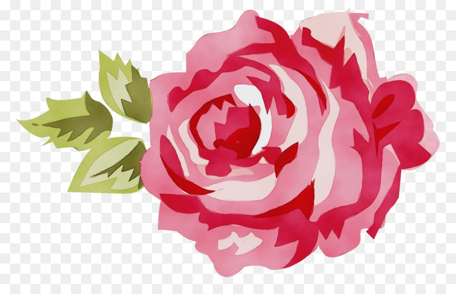 Rosas Vermelhas，Florescer PNG