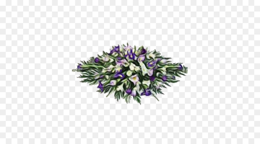 Roxo，Lavanda PNG