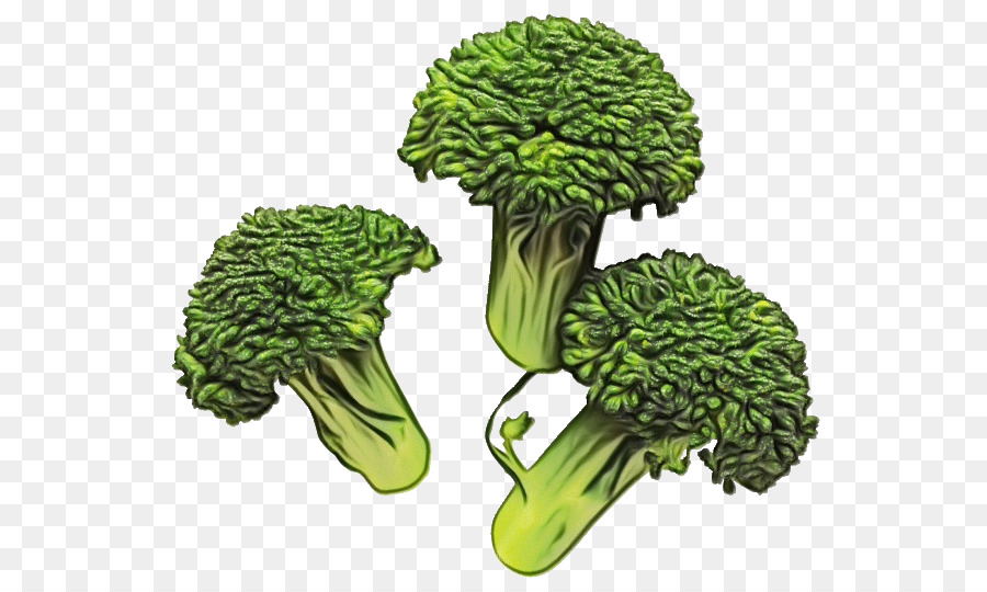 Brócolis，Vegetais De Folhas PNG