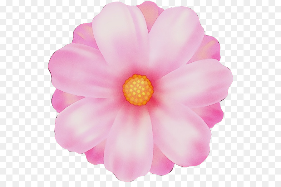 Flor，Rosa PNG