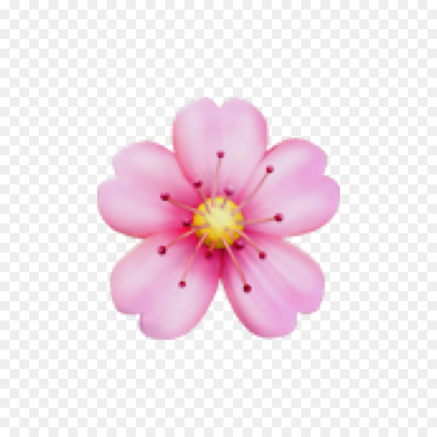 Flores Rosa，Flores PNG