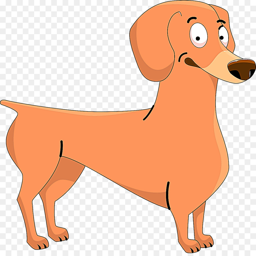 Cachorro，Raça Do Cão PNG