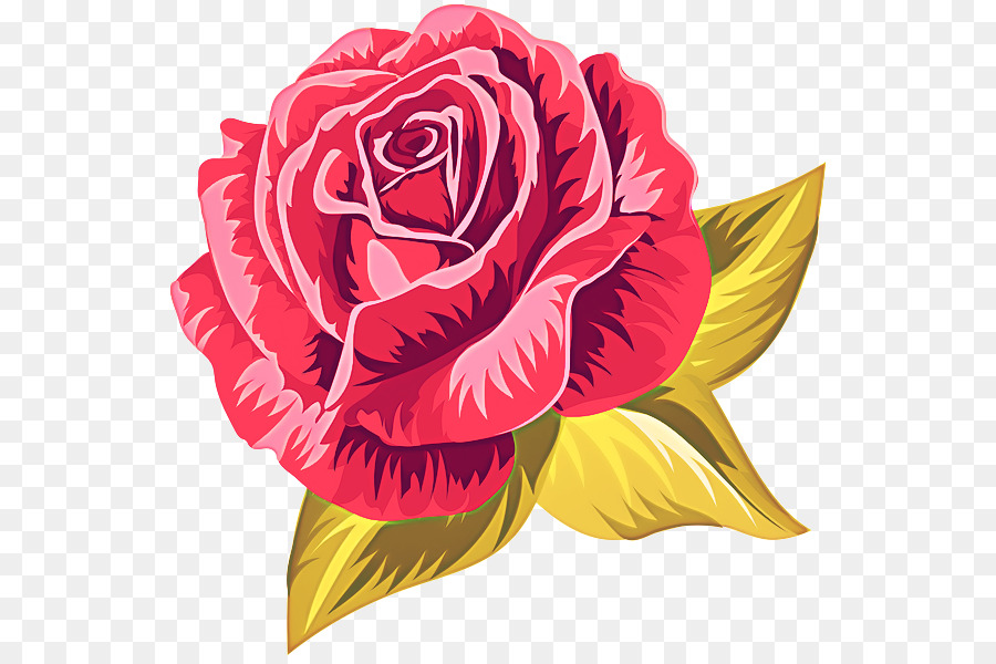 Rosas，Florescer PNG