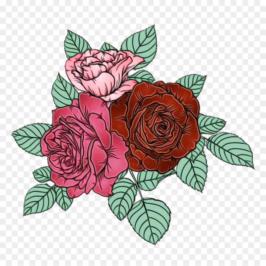 Rosas，Florescer PNG