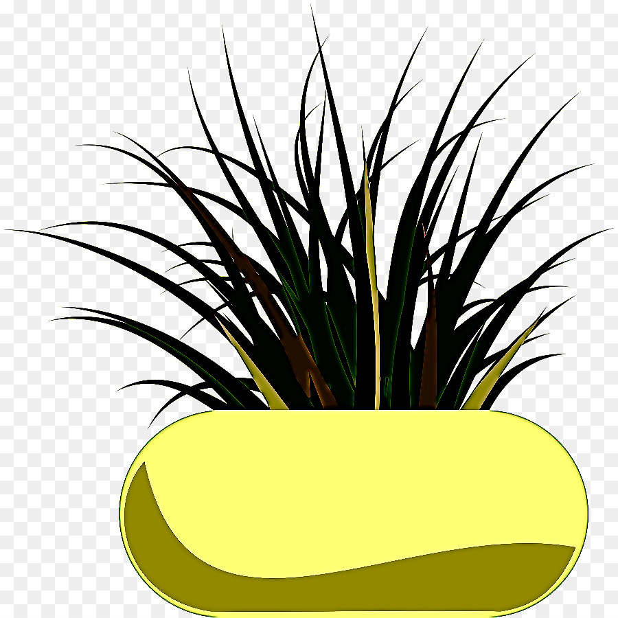 Grama，Planta PNG