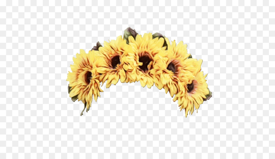 Gerbera，Amarelo PNG