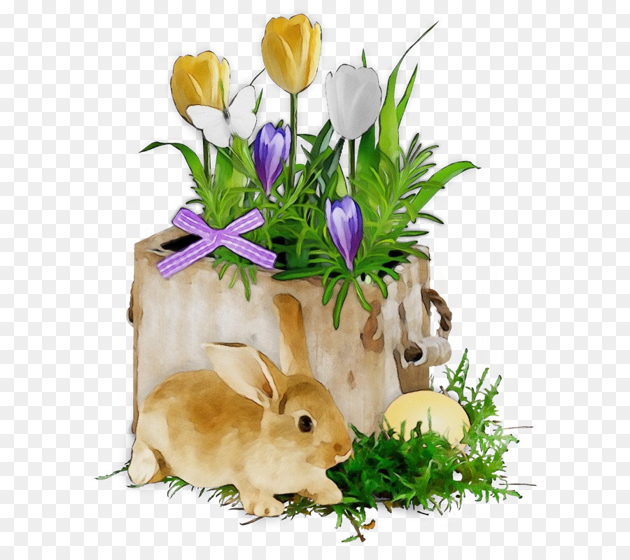 Coelho，Flores PNG