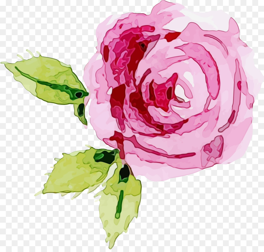 Flores Cor De Rosa，Florescer PNG