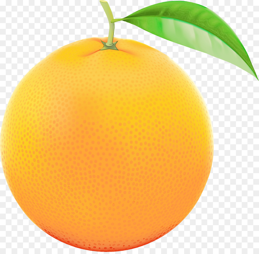 Laranja，Cítrico PNG