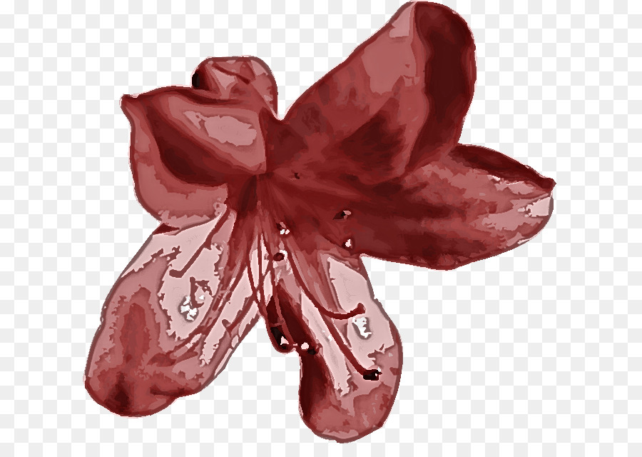 Cor De Rosa，Vermelho PNG