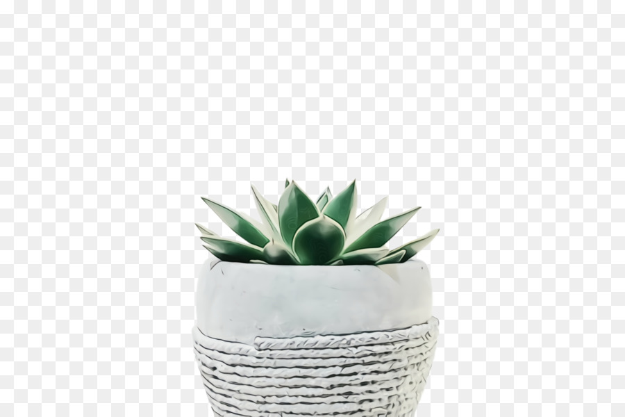 Flowerpot，Branco PNG