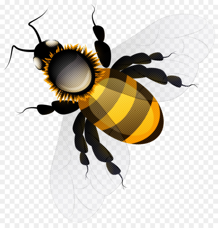 Inseto，Honeybee PNG