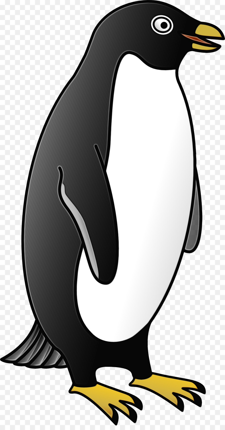 Pinguim，Pássaro Que Não Voa PNG