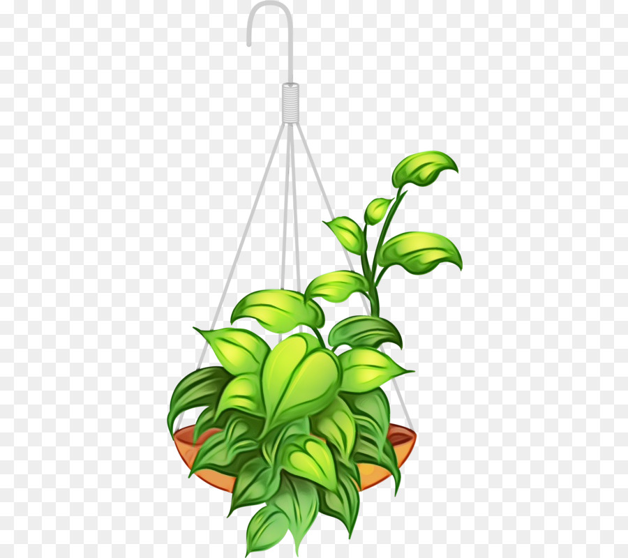 Planta Suspensa，Folhas PNG