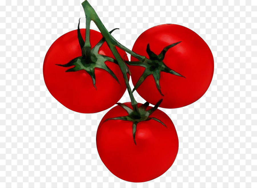 Tomates Vermelhos，Folhas Verdes PNG