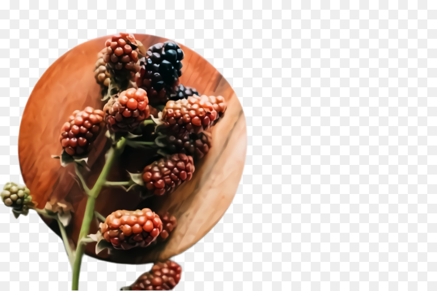 Blackberry，Planta PNG