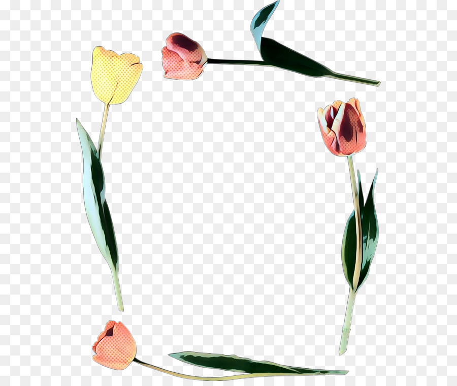 Flor，Planta PNG