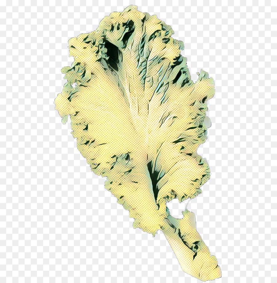 Amarelo，Folha PNG