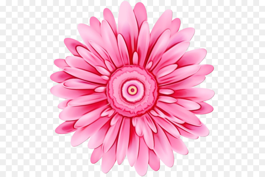 Flor，Rosa PNG