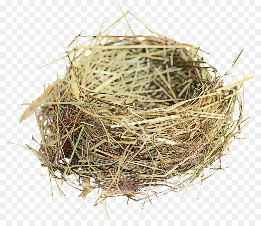 Ninho De Pássaro，Nest PNG