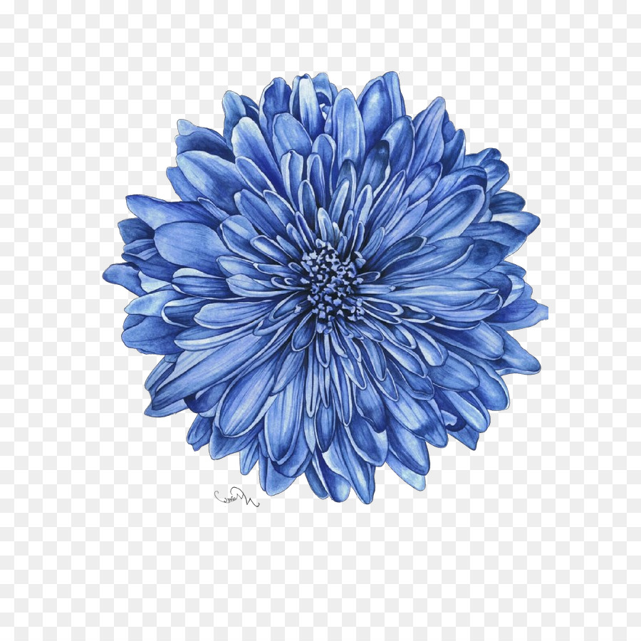 Azul, Flor, Pétala png transparente grátis