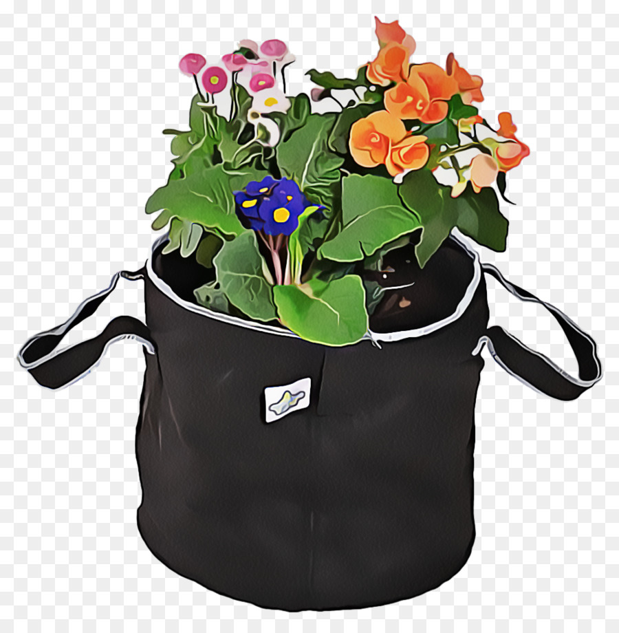 Flor，Flowerpot PNG