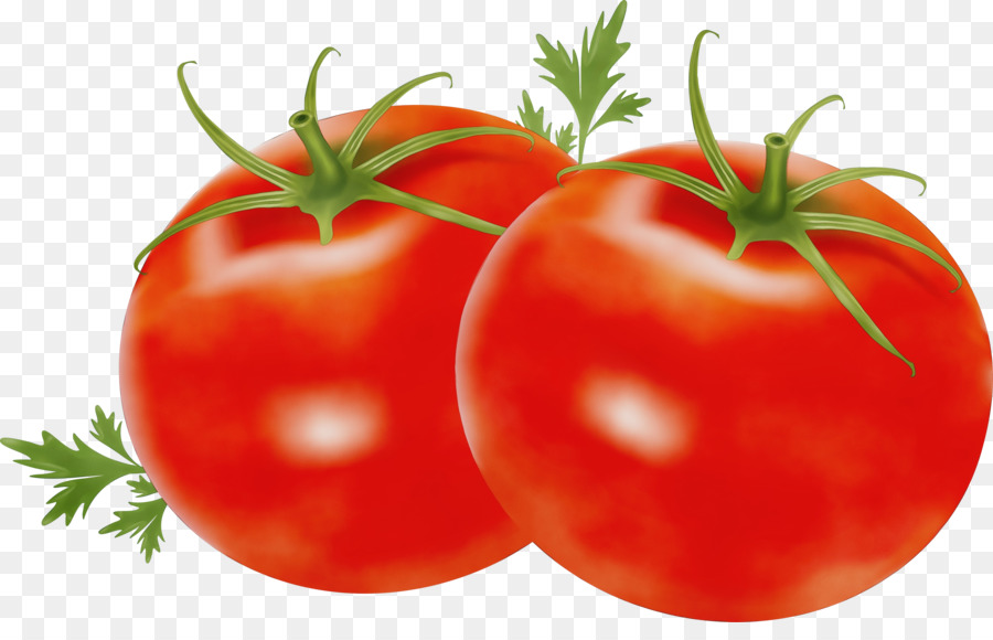 Tomates Vermelhos，Vegetal PNG