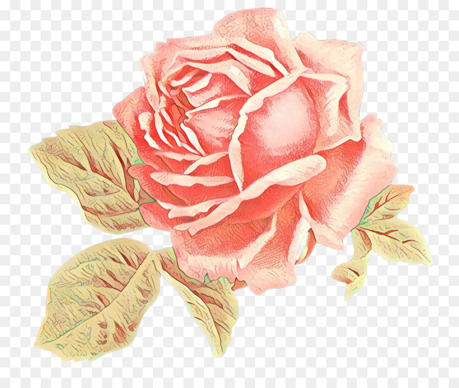 Rosas Vermelhas，Ramalhete PNG