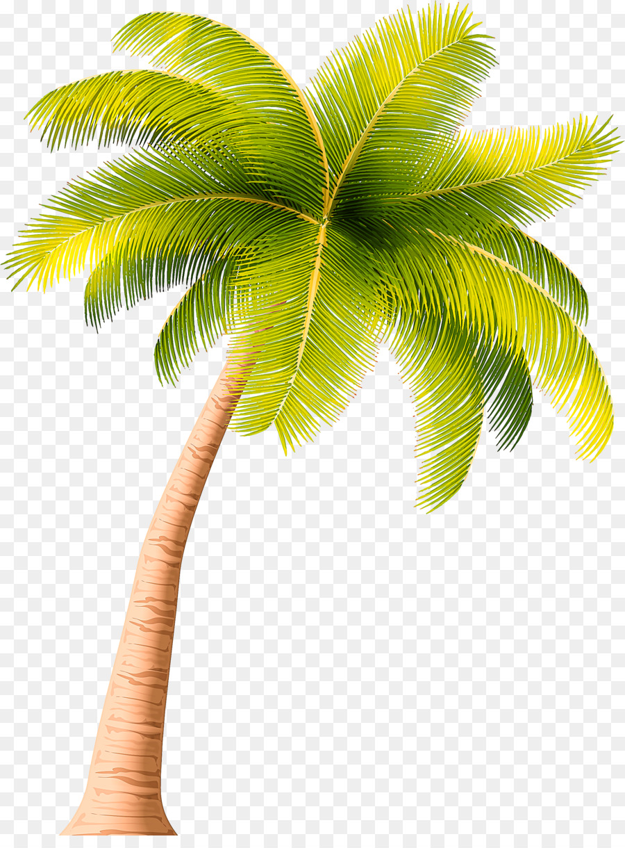 Bananeira，Fruta PNG