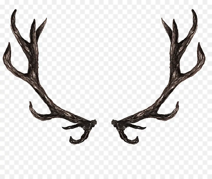 Corno，Antler PNG