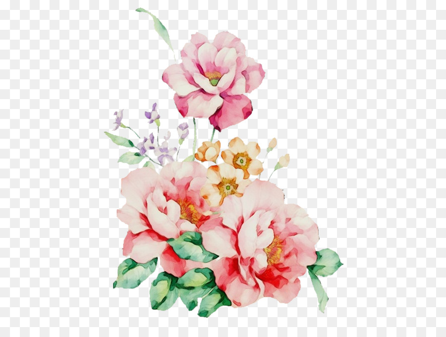 Flor，Planta De Floração PNG