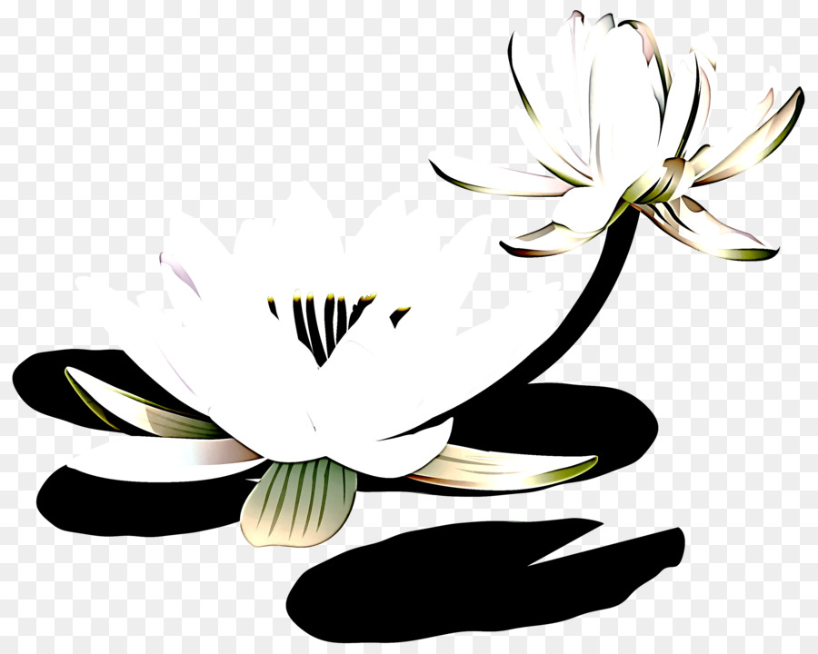 Flor，Planta PNG