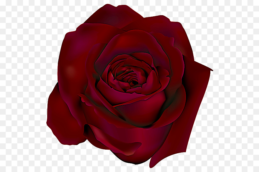 Rosa Negra，Escuro PNG