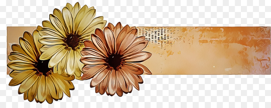 Flor，Gerbera PNG