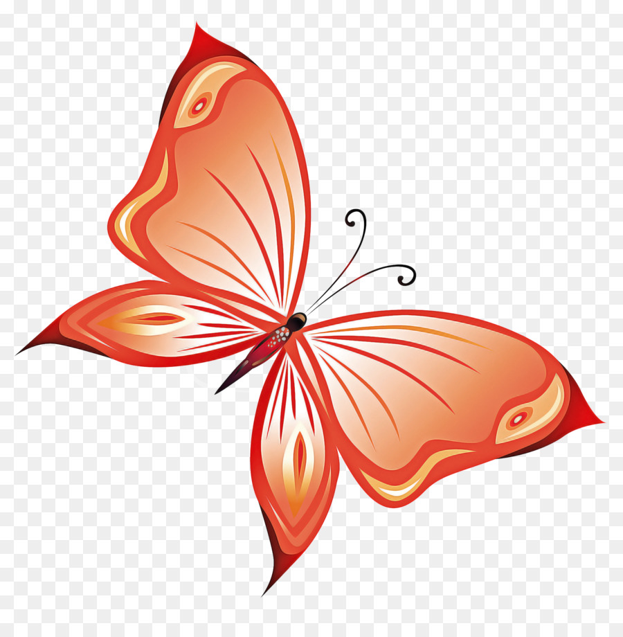 Borboleta，Folha PNG