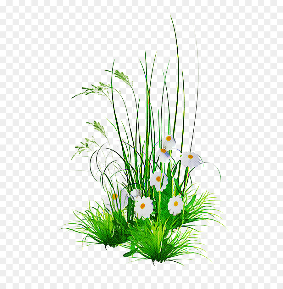 Flor E Folhas，Plantar PNG