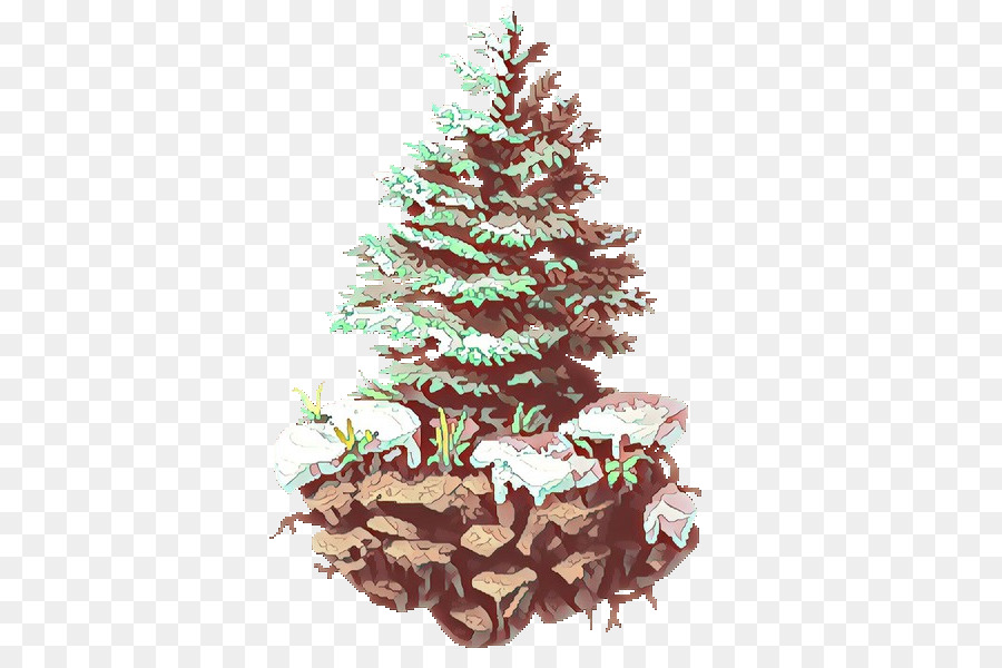 Colorado Spruce，Oregon Pine PNG